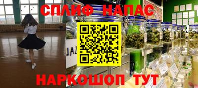 PSILOCYBIN Краснодар