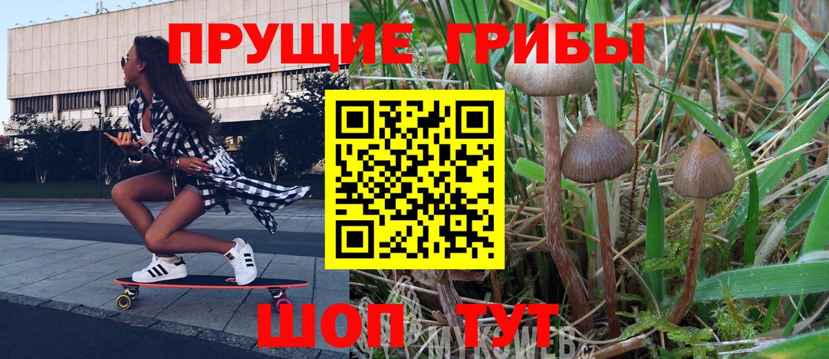 Галлюциногенные грибы мицелий  Псилоцибиновые грибы мицелий  купить наркоту  Вход с VPN  Костомукша 