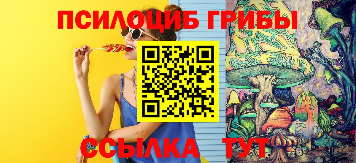 Псилоцибиновые грибы прущие грибы Костомукша